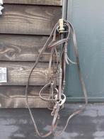 hoofdstel pony CS, Dieren en Toebehoren, Ophalen of Verzenden, Gebruikt, Recreatie