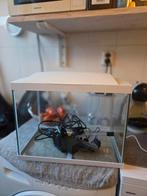 Superfish aquarium 60 liter, Dieren en Toebehoren, Vissen | Aquaria en Toebehoren, Ophalen, Leeg aquarium