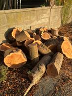 Gratis Wilgenstammen af te halen in Hoogvliet ROTTERDAM!, Tuin en Terras, Haardhout, Minder dan 3 m³, Ophalen, Overige houtsoorten