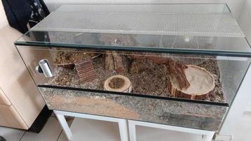 Hamsterkooi/hok beschikbaar voor biedingen