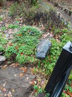 Vijverstenen, Tuin en Terras, Ophalen