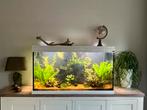 Zoetwater aquarium 400l, Dieren en Toebehoren, Vissen | Aquaria en Toebehoren, Ophalen, Gebruikt