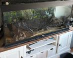 Juwel Rio 350, Ophalen of Verzenden, Gebruikt, Leeg aquarium