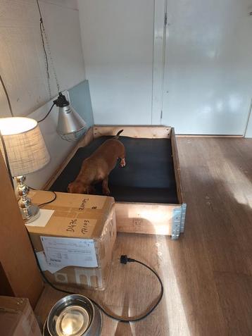  Werpkist hout  beschikbaar voor biedingen