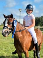 A pony kinder pony te koop!, Dieren en Toebehoren, Pony's, B, Springpony, A pony (tot 1.17m), 3 tot 6 jaar