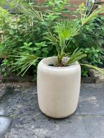 Elho plantenpot, Kunststof, Rond, Binnen, Zo goed als nieuw