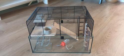 Dwerghamster kooi
Glazen bak met zwarte afneembare kooii, Dieren en Toebehoren, Knaagdieren en Konijnen | Hokken en Kooien, Zo goed als nieuw