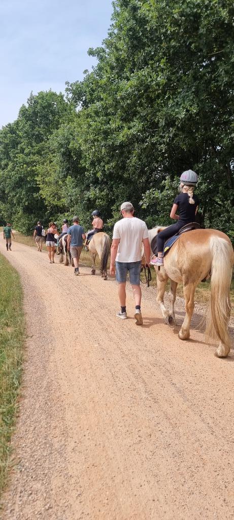 gezocht Instructrice Paardrijden, Diensten en Vakmensen, Dieren | Paarden | Verzorging, Oppas en Les, Paardrijles of Ponykampen