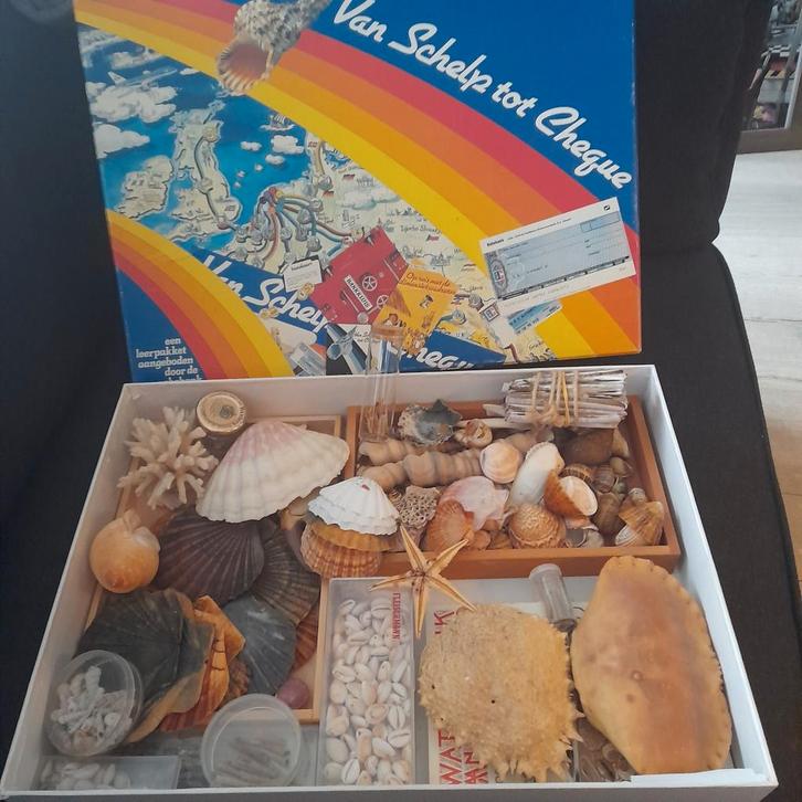Rabobank "van schelp tot cheque" zeldzame verzameldoos 2, Verzamelen, Mineralen en Fossielen, Schelp(en), Ophalen of Verzenden