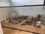 Hamsterkooi 120cm, Ophalen, Kooi, 110 cm of meer, 60 tot 90 cm