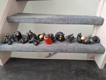 Merk bear voot  verzameling beschikbaar voor biedingen