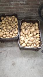 Nieuwe oogst Frieslanders aardappelen, Diversen, Levensmiddelen, Ophalen