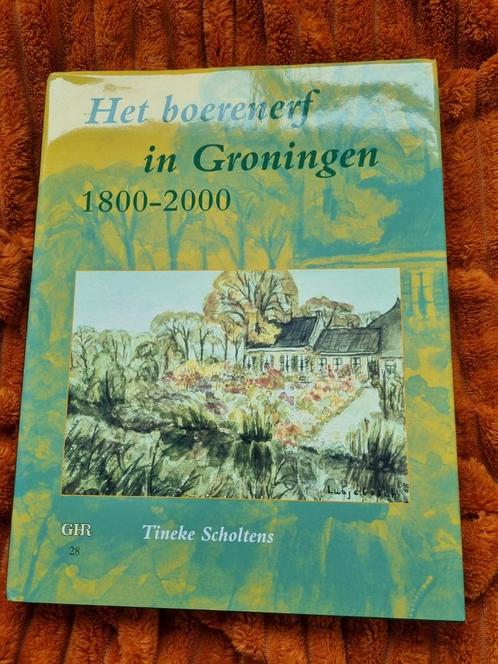 T. Scholtens - Het boerenerf in Groningen 1800-2000, Boeken, Geschiedenis | Stad en Regio, Zo goed als nieuw, 20e eeuw of later