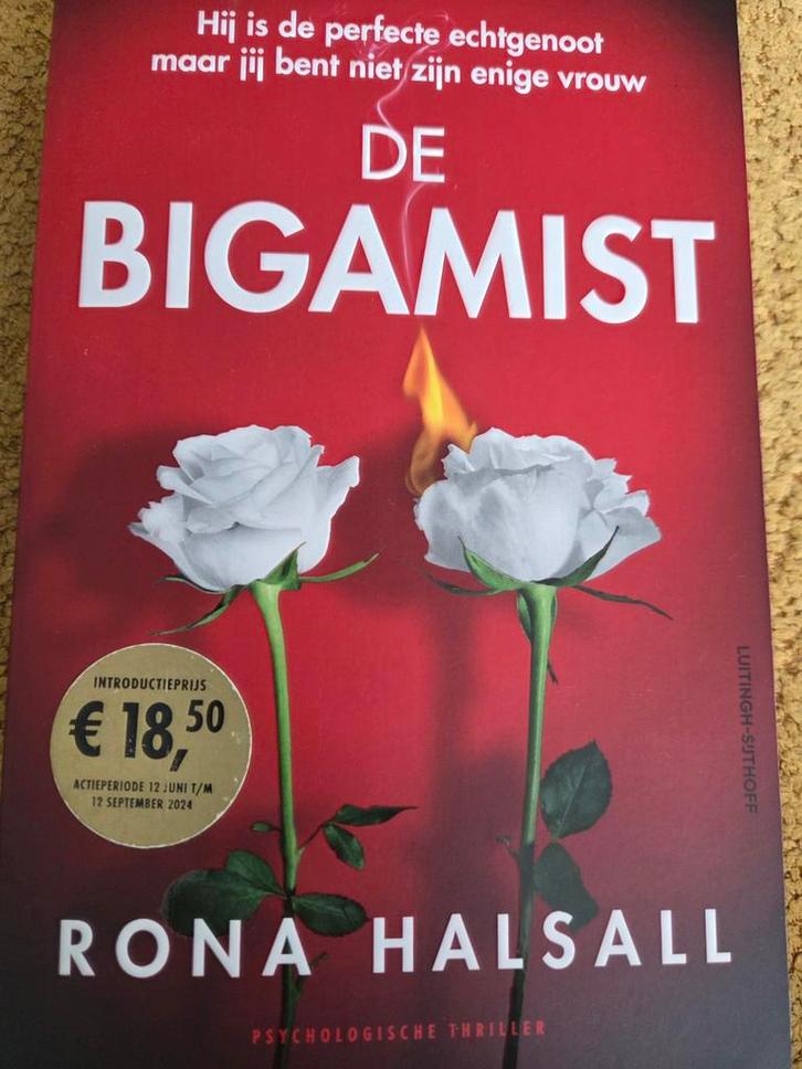 De Bigamist - Rona Halsall, Boeken, Thrillers, Zo goed als nieuw, Nederland, Ophalen