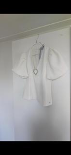 Nikkie Ismay top (nieuw), Kleding | Dames, Tops, Verzenden, Beige, Maat 42/44 (L), Nieuw
