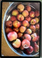 Apple iPad Pro 11 inch, Computers en Software, Apple iPads, Gebruikt, Apple iPad, 11 inch, Ophalen of Verzenden