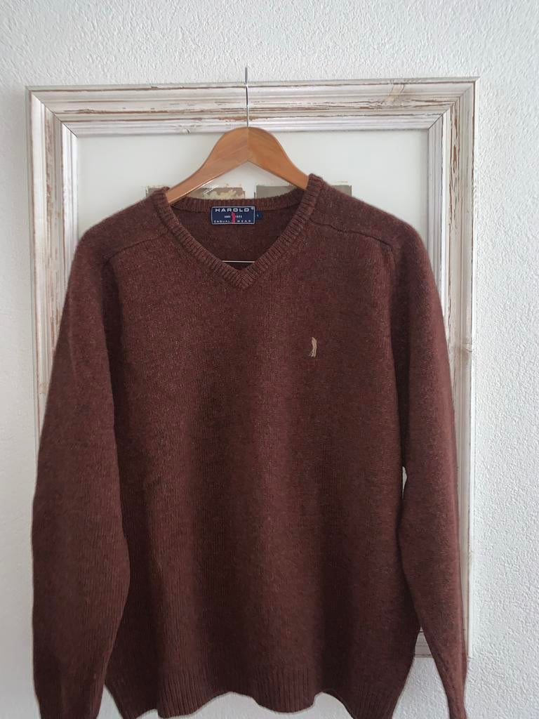 Bruine Harold trui maat L, Kleding | Heren, Ophalen of Verzenden, Zo goed als nieuw, Maat 52/54 (L), Bruin