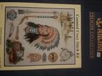 indiaan borduurwerk pakketten, Nieuw, Ophalen of Verzenden