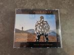 Pink Floyd cd Delicate Sound of Thunder, Ophalen of Verzenden, Zo goed als nieuw, Progressive