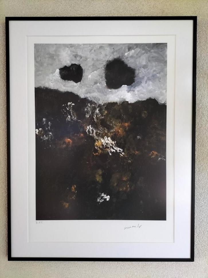 Ons woeste Land Armando, Antiek en Kunst, Kunst | Litho's en Zeefdrukken, Ophalen of Verzenden