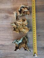 Vijgenbladeren, Ophalen, Plant(en), Steen of Hout