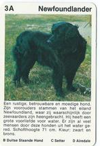 kwartetkaart Newfoundlander, Ophalen of Verzenden, Gebruikt, Hond of Kat, Beeldje of Figuurtje