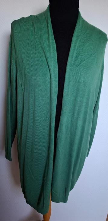 Nieuw. Mooi loshangend vest van Miss Etam  mt. 50. beschikbaar voor biedingen