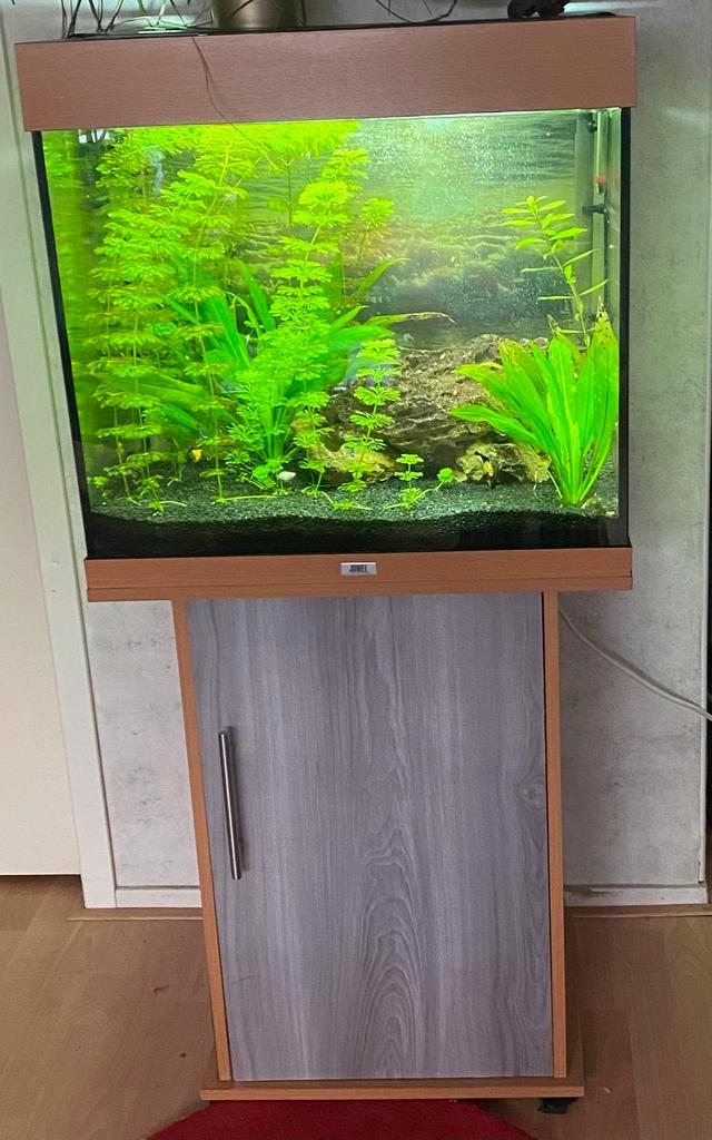 Aquarium met eventueel pomp, Dieren en Toebehoren, Vissen | Aquaria en Toebehoren, Gebruikt, Leeg aquarium, Ophalen of Verzenden