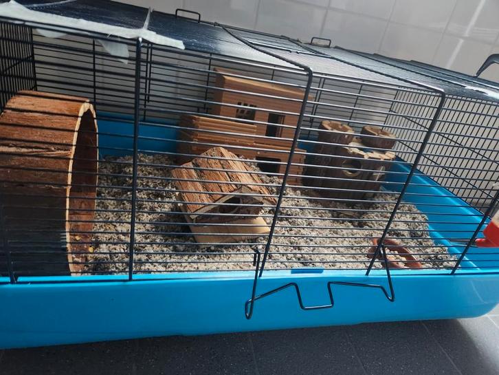 Chinese dwerghamster met kooi en vervoersbox., Dieren en Toebehoren, Knaagdieren en Konijnen | Hokken en Kooien, Gebruikt, Kooi