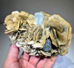 Twee prachtige Aquamarijnkristallen op Muscoviet. Pakistan, Ophalen of Verzenden, Mineraal