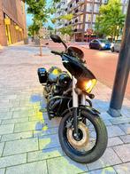 Honda Chopper VT 750C Shadow Phantom uit 2012, 750 cc, Chopper, Bedrijf, Minimaal motorrijbewijs A2