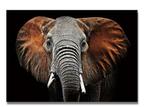 Glazen schilderij olifant 120x80, Ophalen of Verzenden