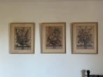 Botanische prenten in gouden lijst (set van 3), Antiek en Kunst, Ophalen