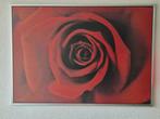 Schilderij Rode Roos, Huis en Inrichting, Ophalen, Gebruikt, 125 cm of meer, Foto of Poster