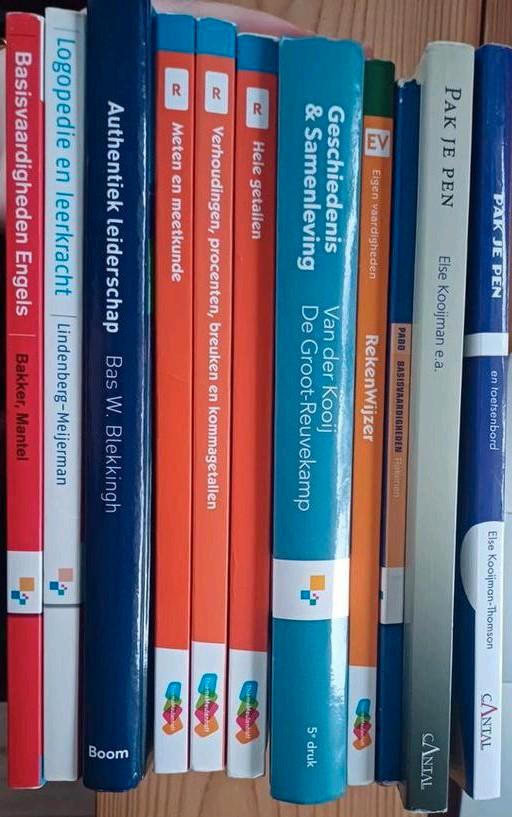 Pabo studieboeken, Boeken, Schoolboeken, Overige niveaus, Ophalen of Verzenden