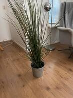 Kunstplant, Ophalen, Halfschaduw, Minder dan 100 cm