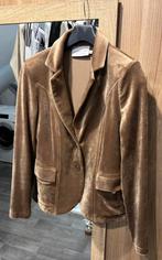 Taupe beige velours blazer Helena Hart, Kleding | Dames, Beige, Ophalen of Verzenden, Zo goed als nieuw, Jasje