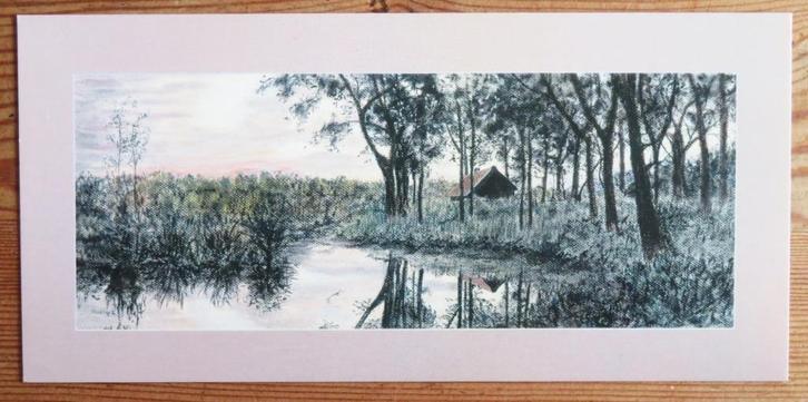 Biesbosch Zwarte Keet, Verzamelen, Ansichtkaarten | Nederland, Noord-Brabant, Voor 1920, Ophalen of Verzenden