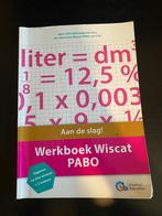 Pabo: Werkboek Wiscat PABO, Ophalen of Verzenden, Alpha, Gelezen, HBO