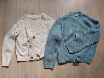 2 heerlijke vesten 134/140 beschikbaar voor biedingen