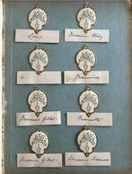 20 Placerings naamkaartjes - tafelkaartjes, Ophalen of Verzenden