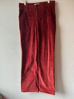 Broek Bash, maat 1, Kleding | Dames, Ophalen of Verzenden, Overige kleuren, Lang