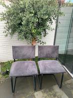 6 stoelen, Ophalen, Zo goed als nieuw, Metaal, Grijs
