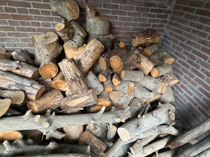 Notenboom, Eikenboom Masthout - 2m3, Tuin en Terras, Haardhout, Stammen, Eikenhout, Minder dan 3 m³, Ophalen