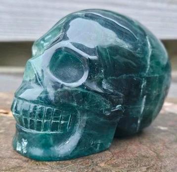 Super gave donkergroene fluoriet schedel beschikbaar voor biedingen