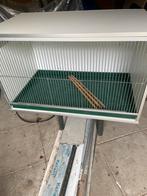 1 van Keulen kooi met groene la /ondertafel voor meer prijs, Ophalen, Zo goed als nieuw, Hout, Vogelkooi