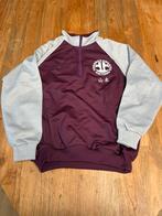 ZGAN vintage Japanse sport sweater maat L, Kleding | Heren, Sportkleding, Maat 52/54 (L), Overige kleuren, Ophalen of Verzenden