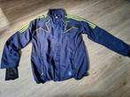 Te koop Adidas jas, Kleding | Heren, Sportkleding, Maat 52/54 (L), Blauw, Ophalen of Verzenden, Zo goed als nieuw