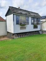 Duivenhok, Dieren en Toebehoren, Vogels | Duiven, Mannelijk