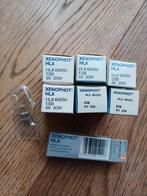 7x Osram Xenophot HLX 64250 ESB, Ophalen of Verzenden, Nieuw